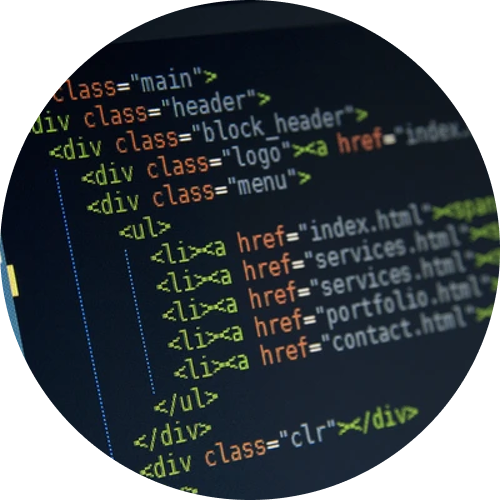 Website Design
