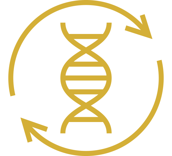 Quality Genetics Cattle