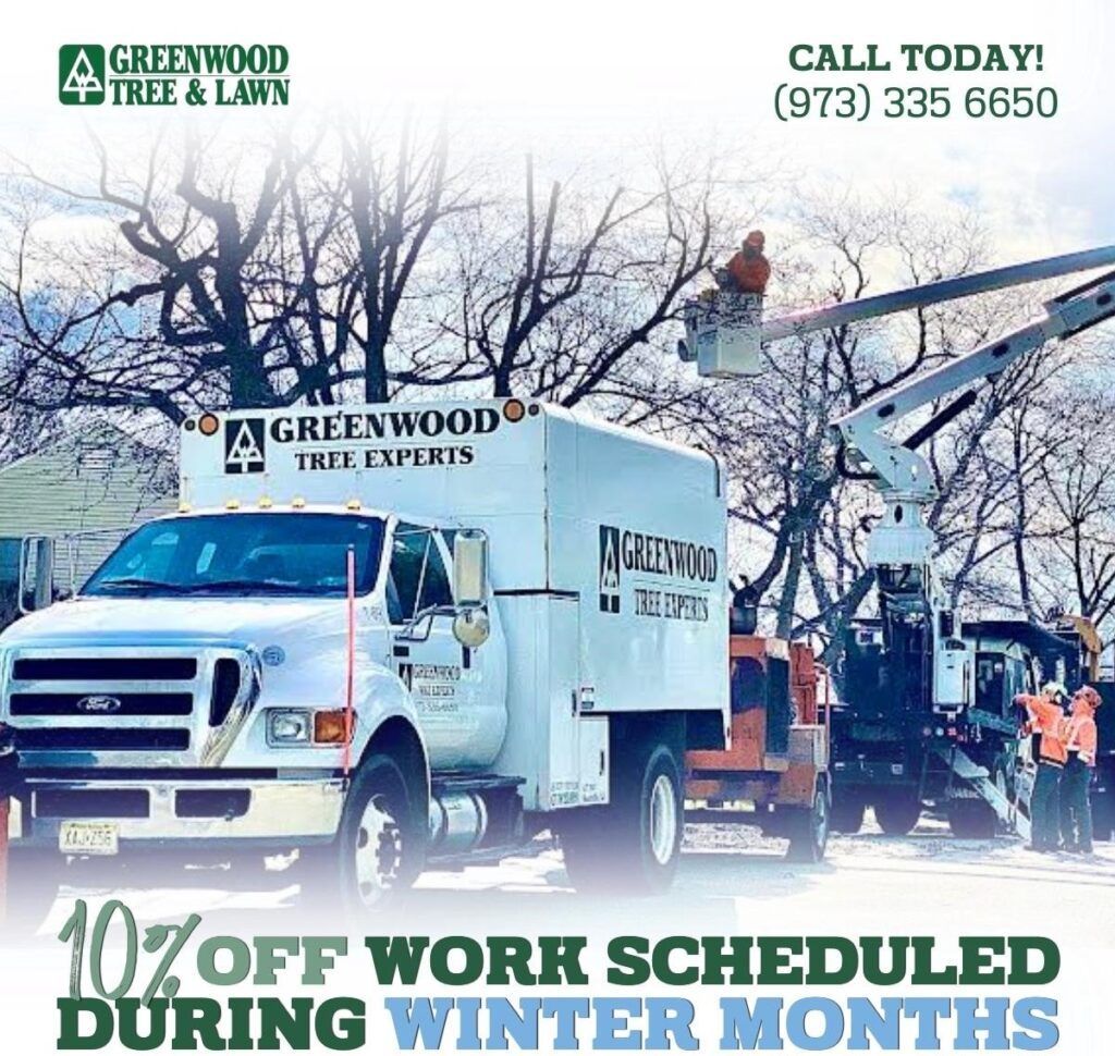 An advertisement for greenwood tree and lawn shows two trucks