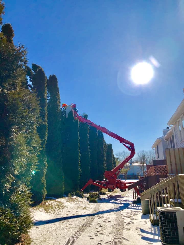 A red crane is cutting trees in front of a house.