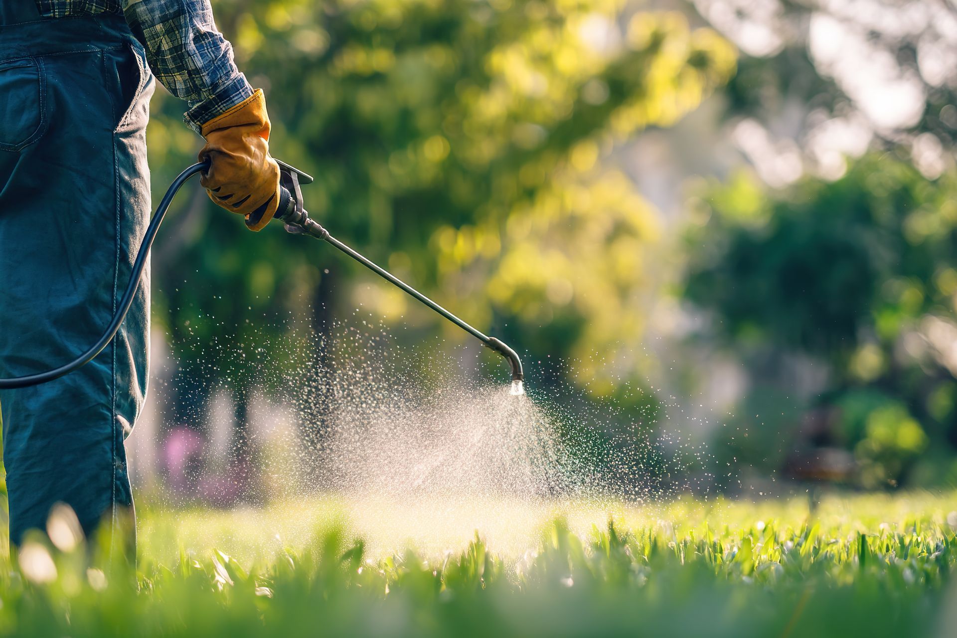 Worker spraying the grass for lawn care