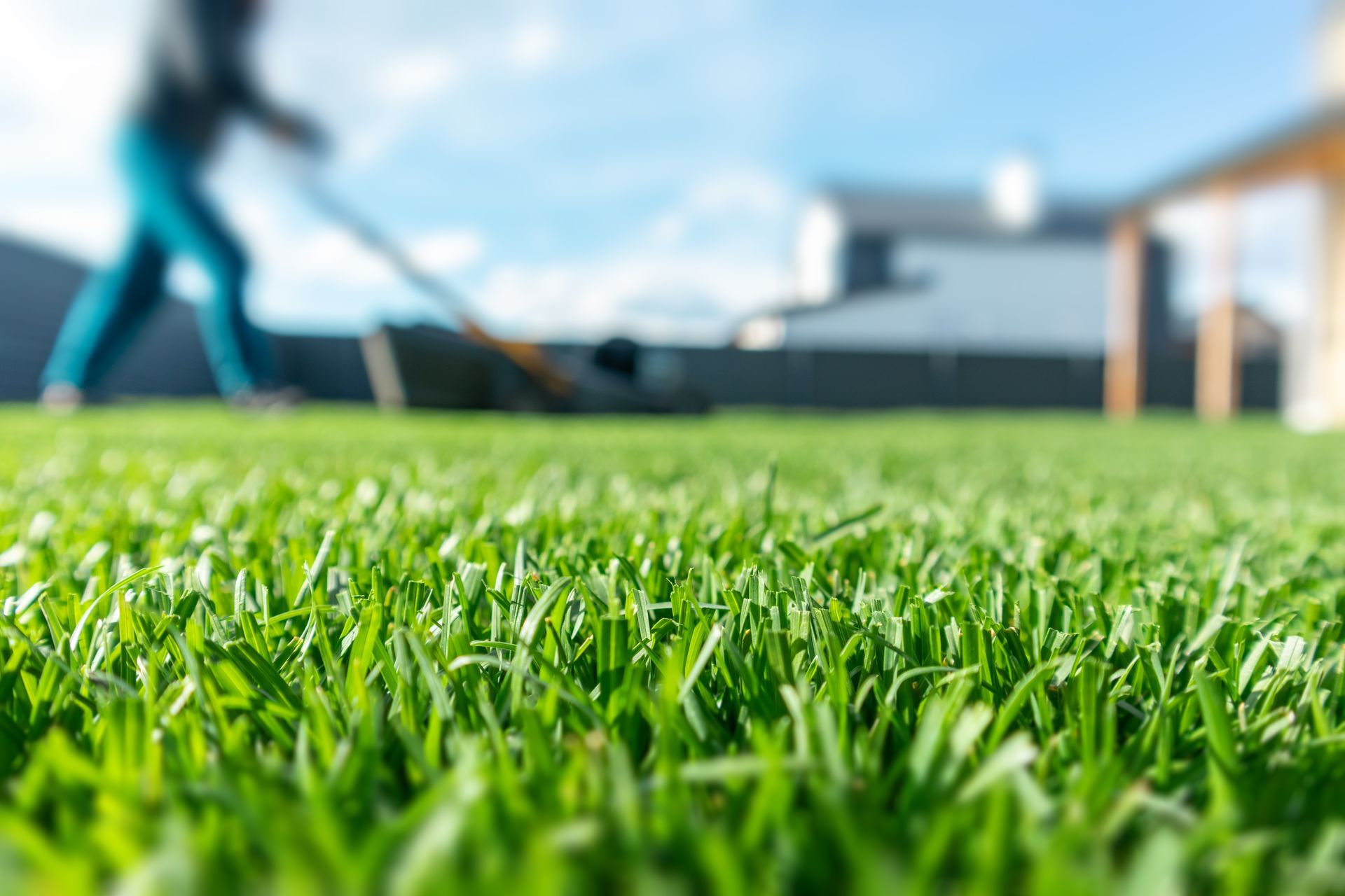 Freshly cut green lawn with a worker mowing in the background.
