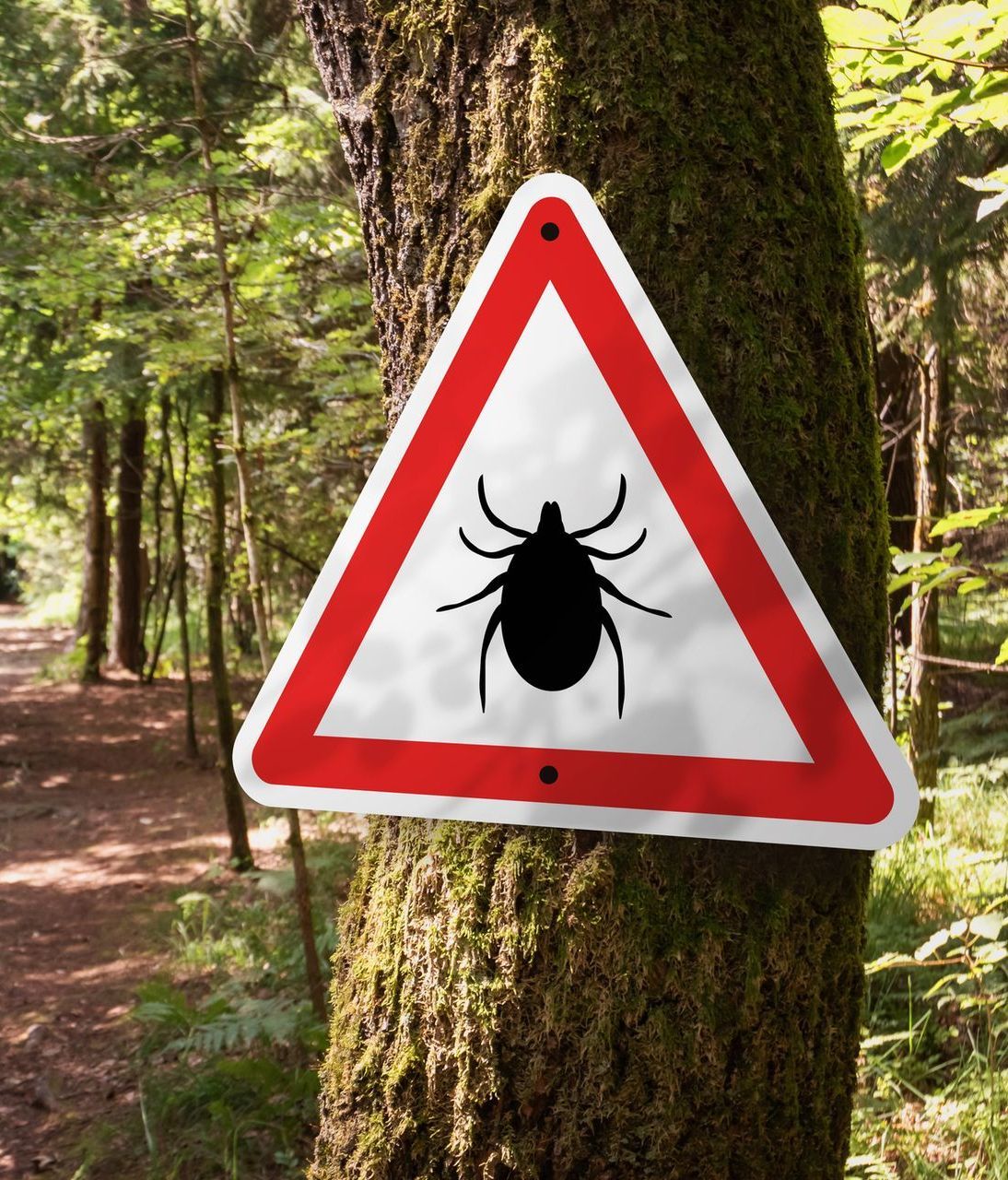 Safe and Effective Tick Control in NJ