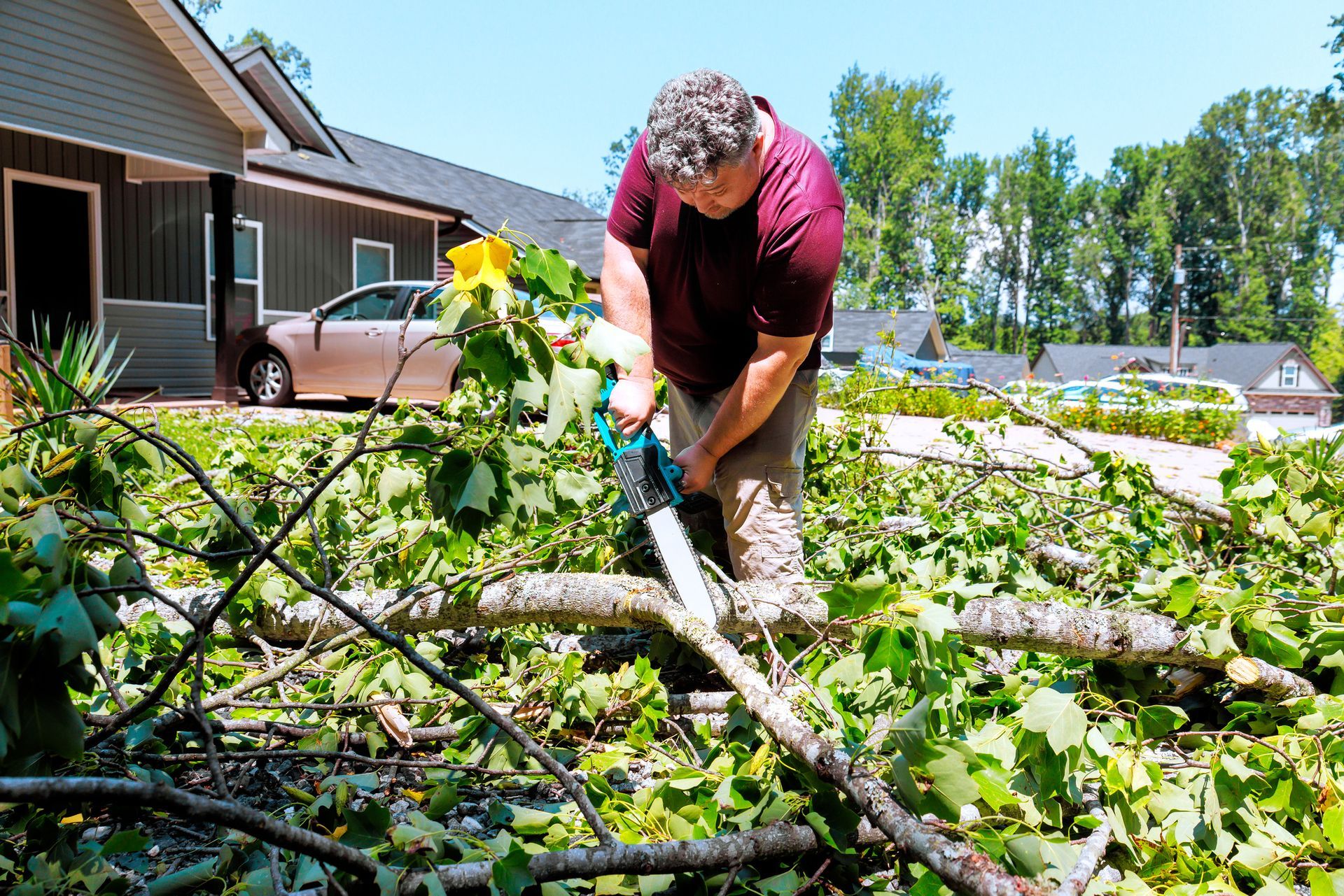 A worker uses a chainsaw to remove branches from a yard.