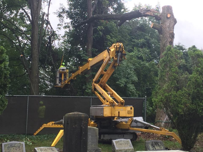 A yellow crane is cutting a tree in a cemetery.