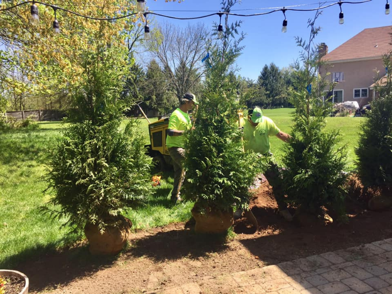 Two men are planting trees in a backyard.