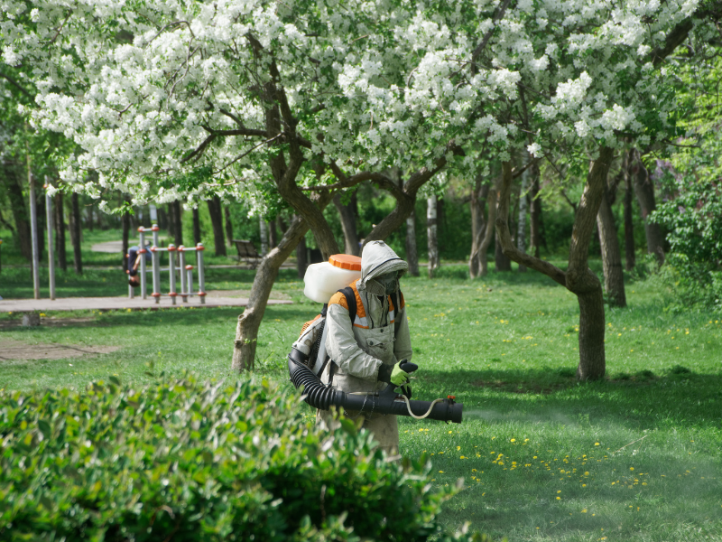 Tree Care Services in Montville, NJ
