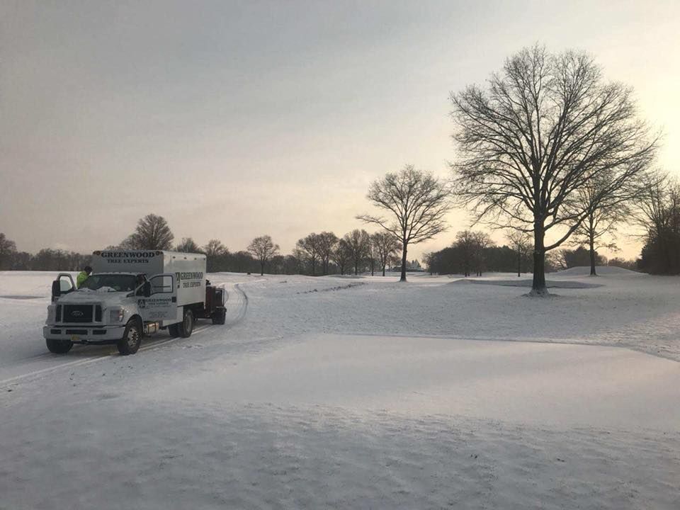 A white truck is parked in the middle of a snowy field.
