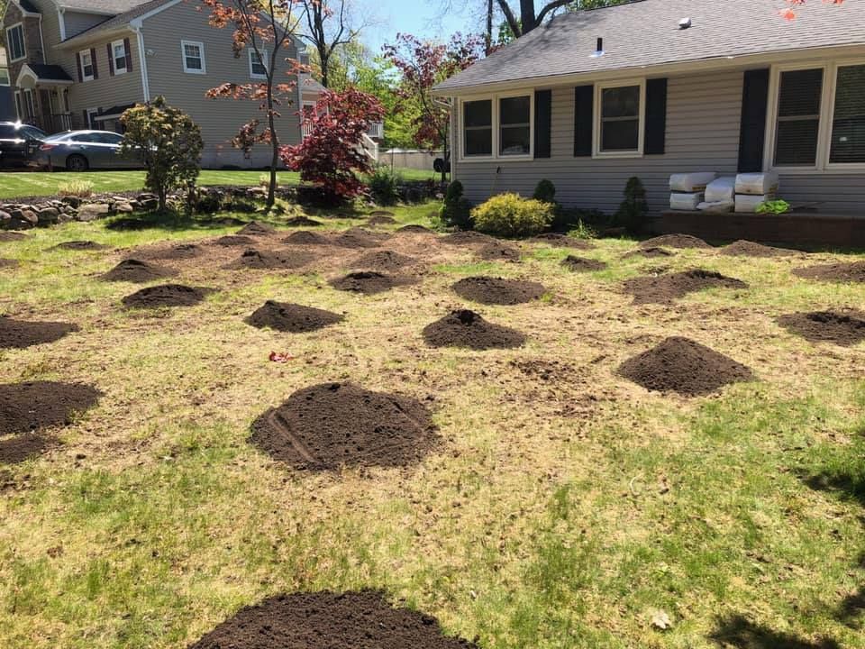 A lawn with a lot of dirt in it in front of a house.