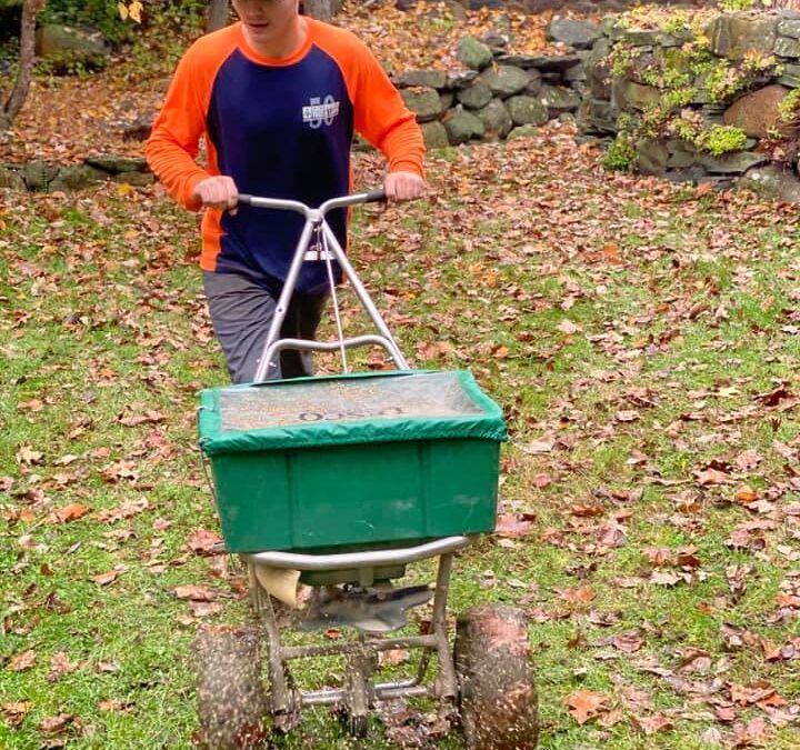 A man is pushing a green wheelbarrow full of leaves