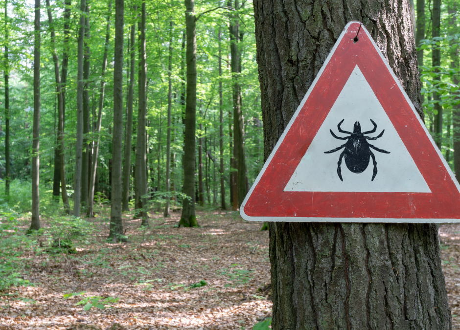 A red and white triangle sign with a tick on it