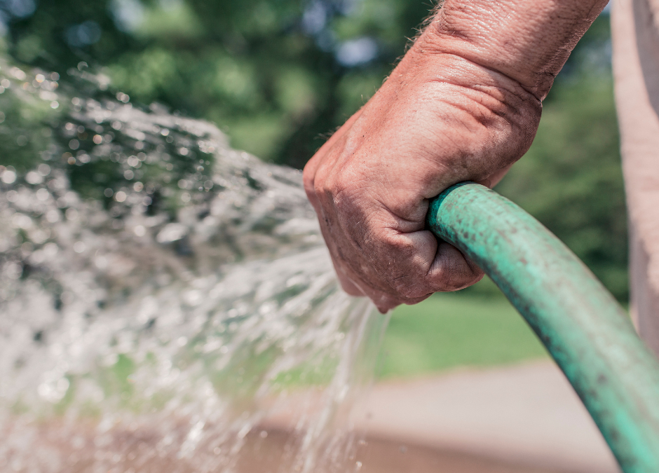 A man is watering a garden with a green hose.