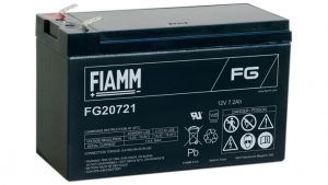 A fiamm battery is shown on a white background.