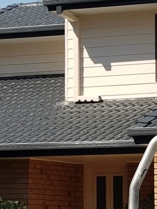 Roof Painting — Brisbane, QLD — Brisbane House Painters