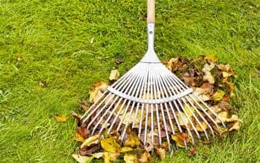 Yard Cleanups — Landscaping in Silver Spring, MD