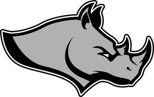 Rhino Brothers Moving LLC