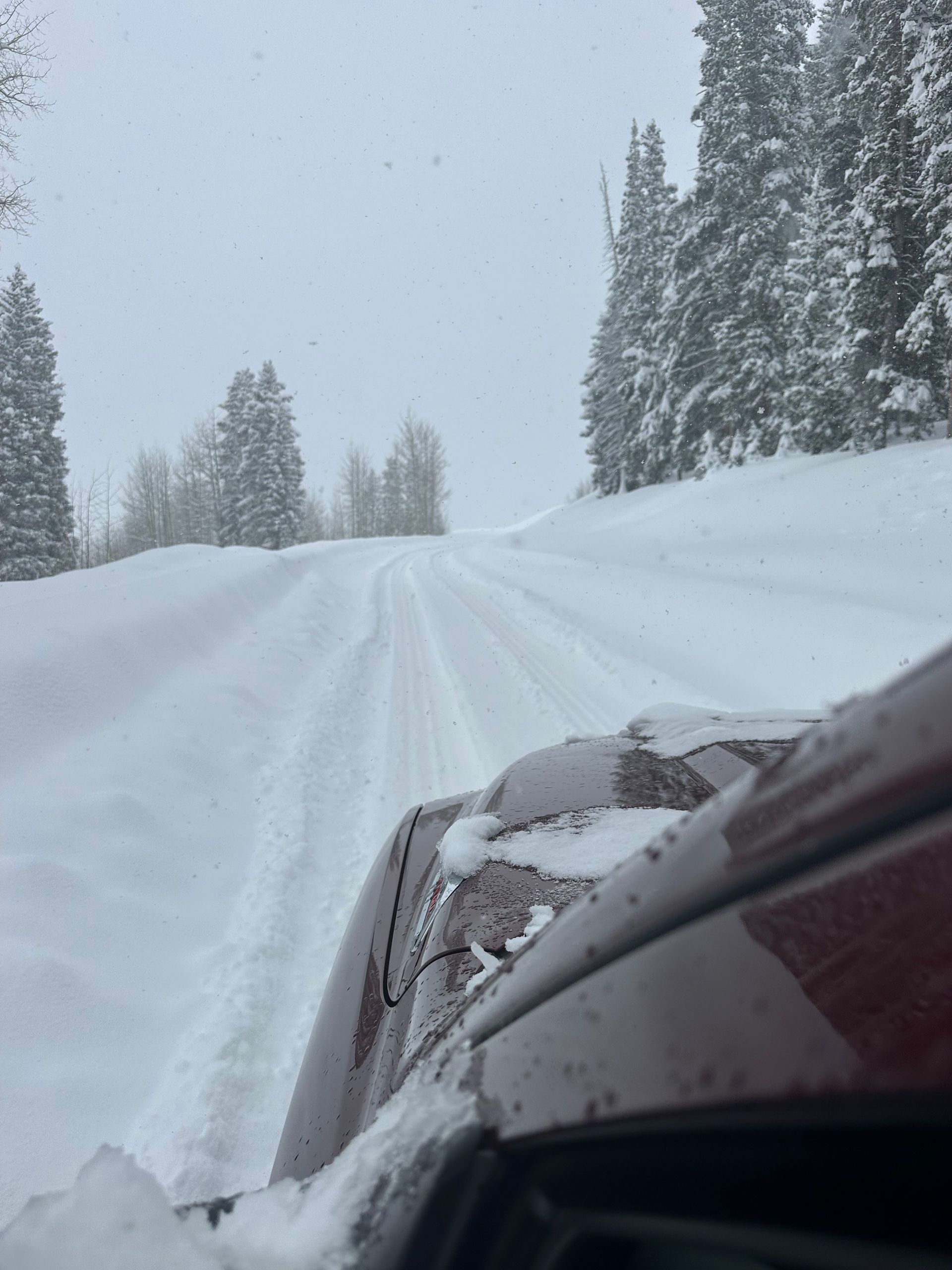 Snow-covered road through a forest; vehicle windshield view. Red vehicle moving forward on a snowy path. Trees line the road.