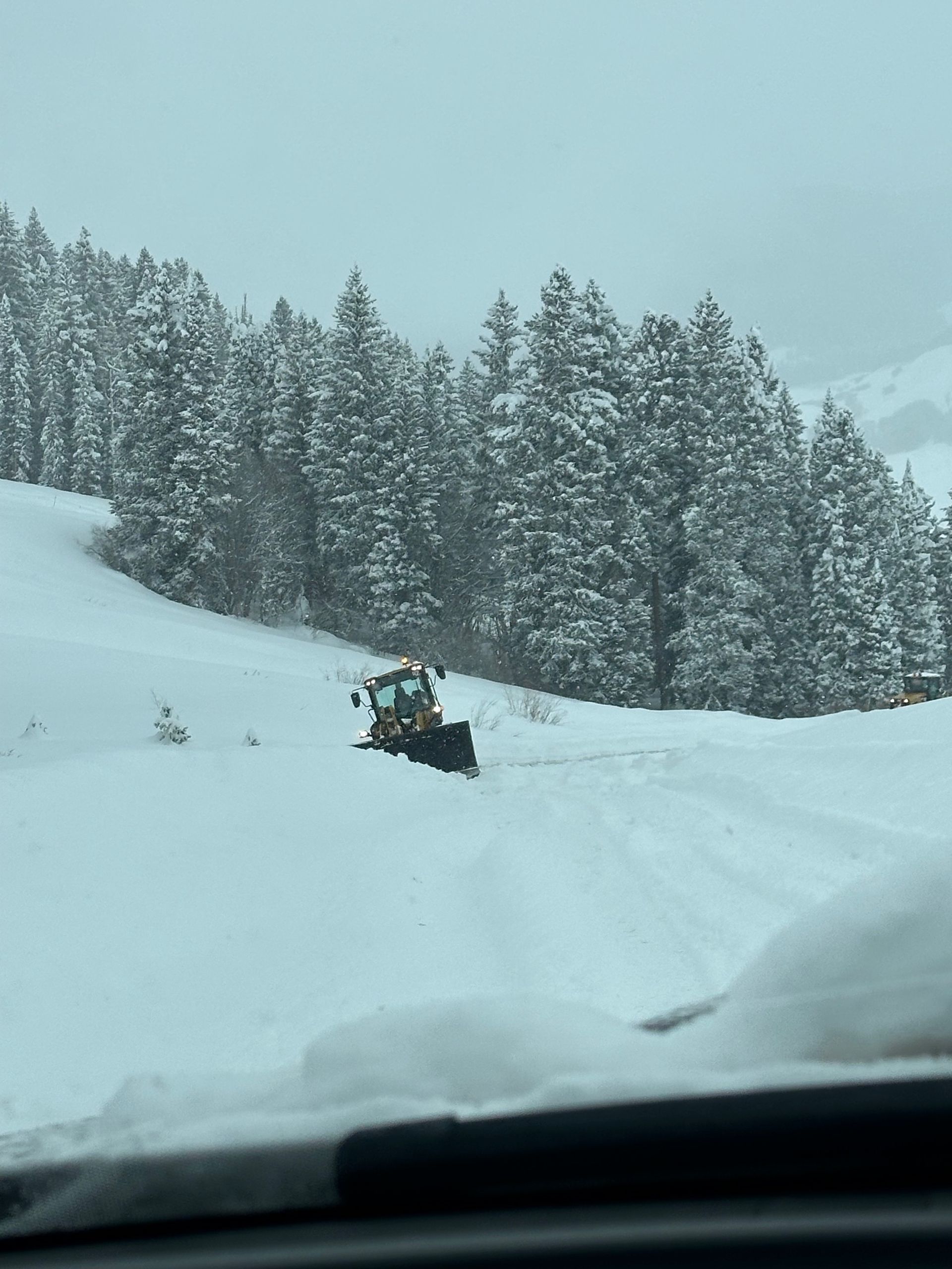 Snowplow clearing a snowy road with evergreen trees in the background.