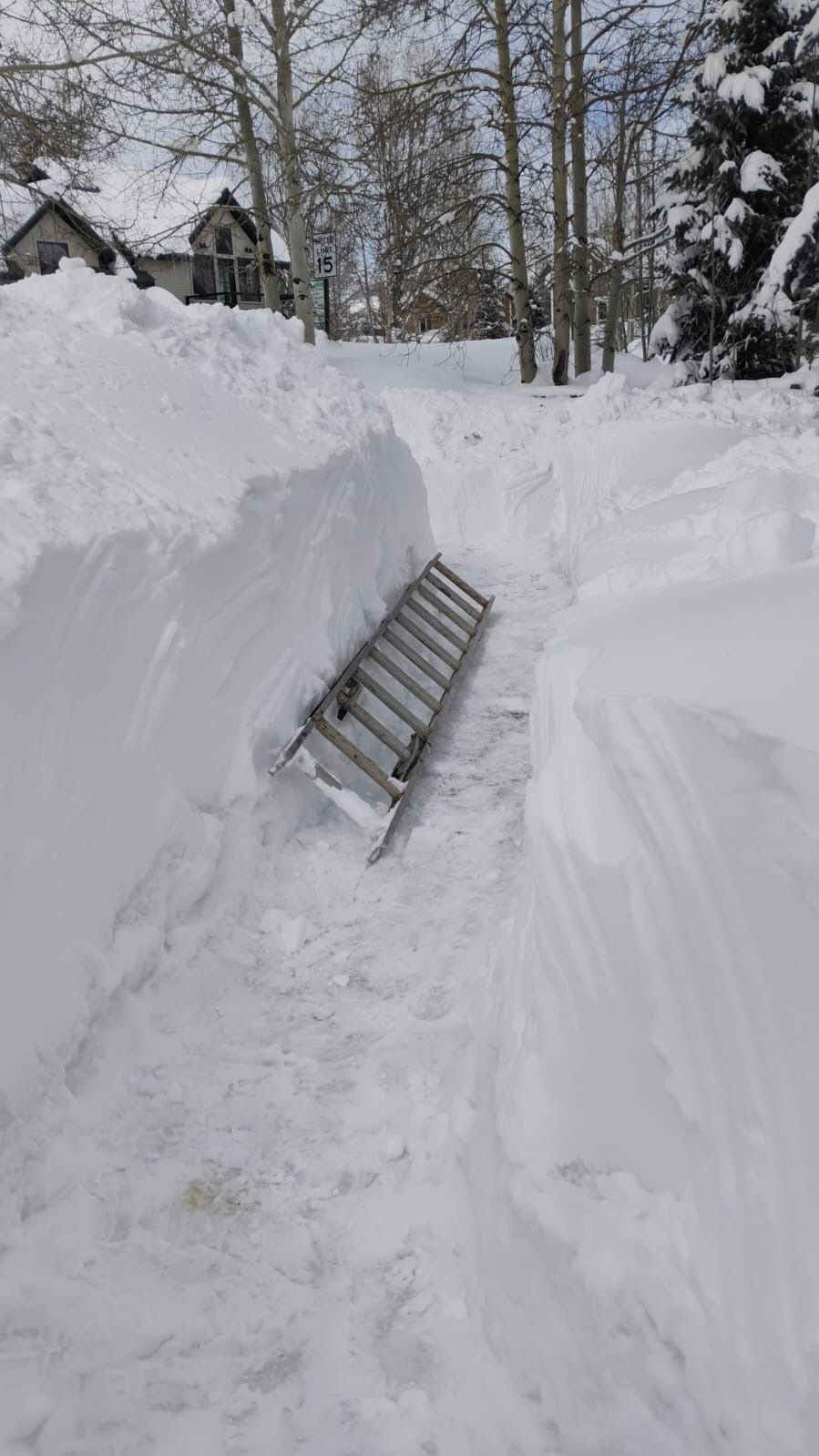 A snow-covered path carved between high snow banks, with a ladder laid across it.