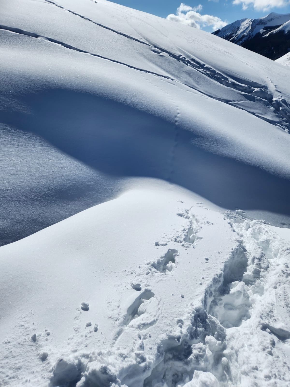 Snowy mountain slope with a trail of footprints leading uphill under a blue sky.