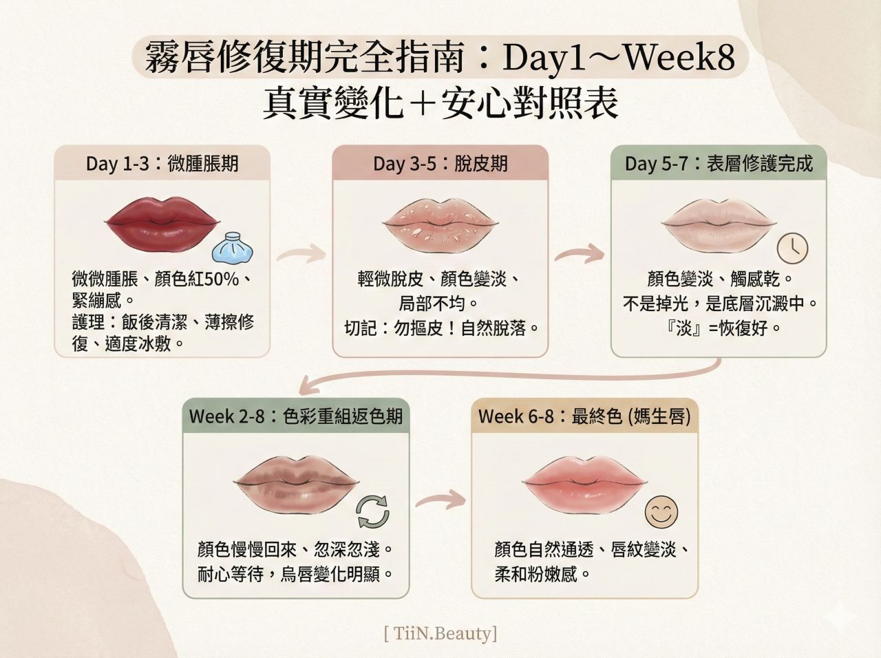 TiiN.Beauty 製作的霧唇修復期完全指南圖文懶人包。這張圖表詳細說明了霧唇術後從 Day 1 到 Week 8 的五個階段真實變化與護理對照：包含 Day 1-3 微腫脹期的冰敷護理、Day 3-5 脫皮期的勿摳皮注意事項、Day 5-7 表層修護完成的顏色變淡現象、Week 2-8 色彩重組返色期的忽深忽淺變化，以及 Week 6-8 最終呈現自然粉嫩媽生唇的結果。
