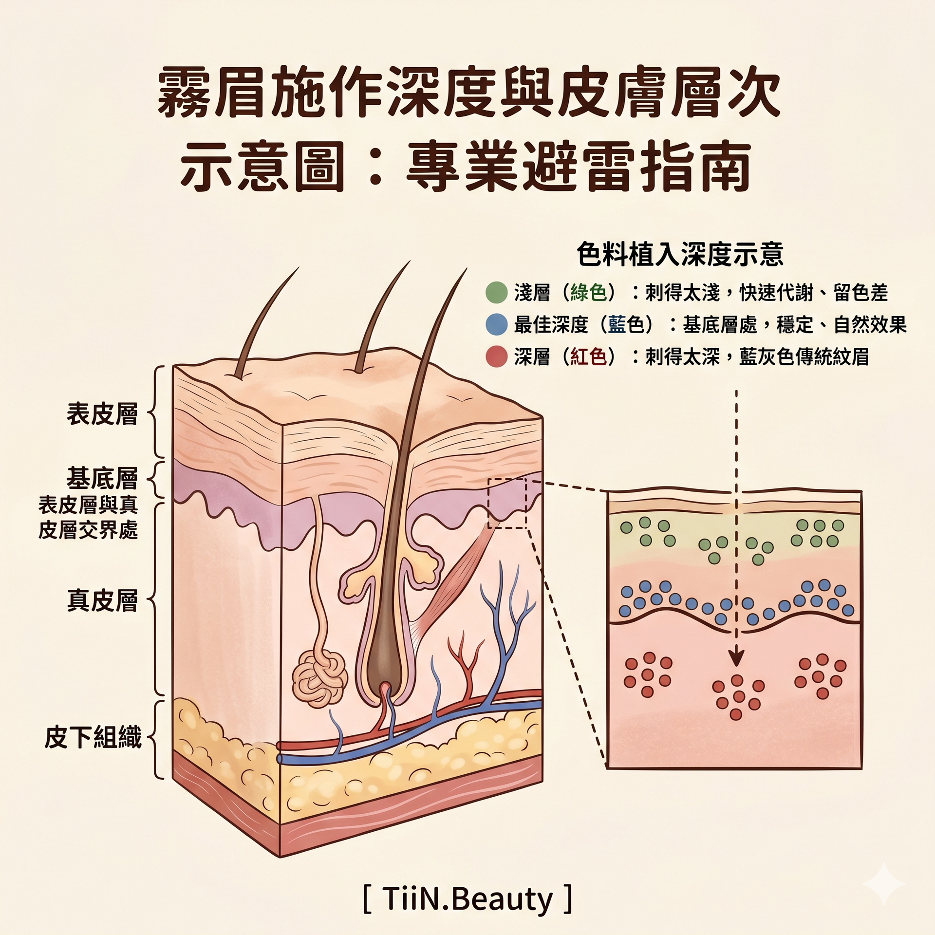 霧眉色料植入皮膚層次示意圖，解釋半永久紋繡的生理學原理