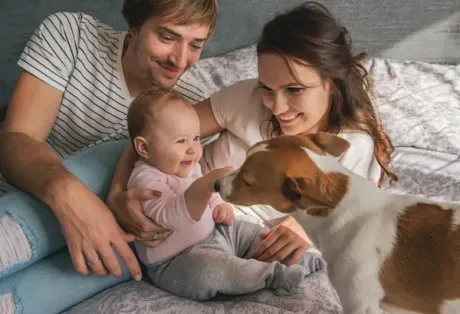 A man and woman are laying on a bed with a baby and a dog.