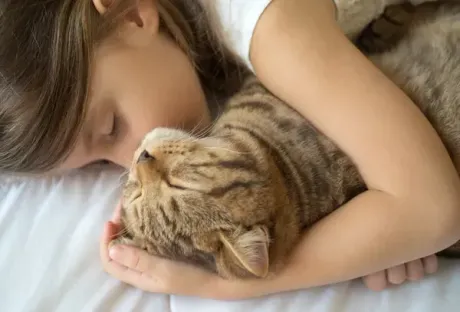 A little girl is sleeping with a cat on a bed.