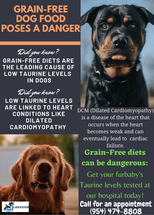 dog food cardiomyopathy