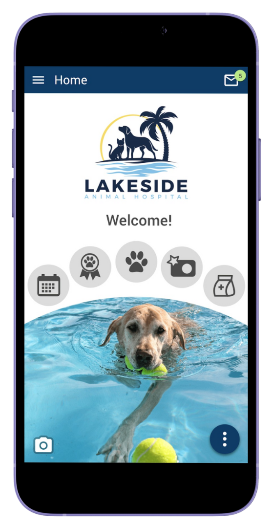 Lakeside Animal Hospital App Preview