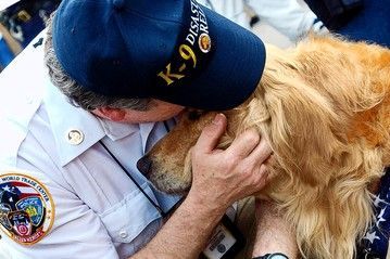 Remembering the Hero Dogs of 9/11