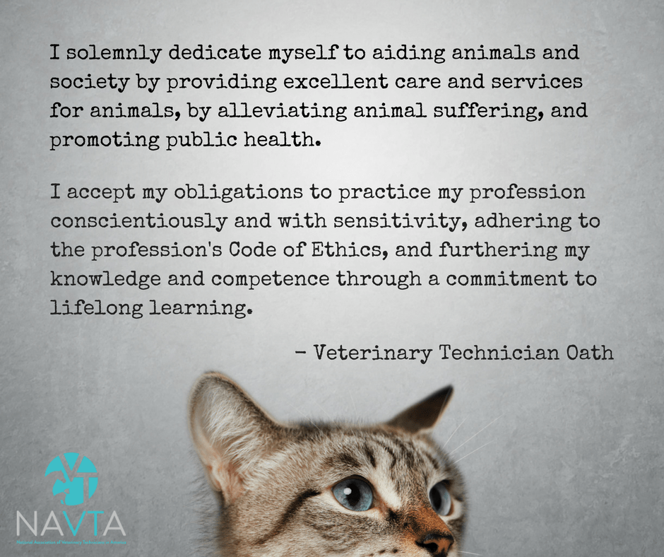 Vet Tech Oath