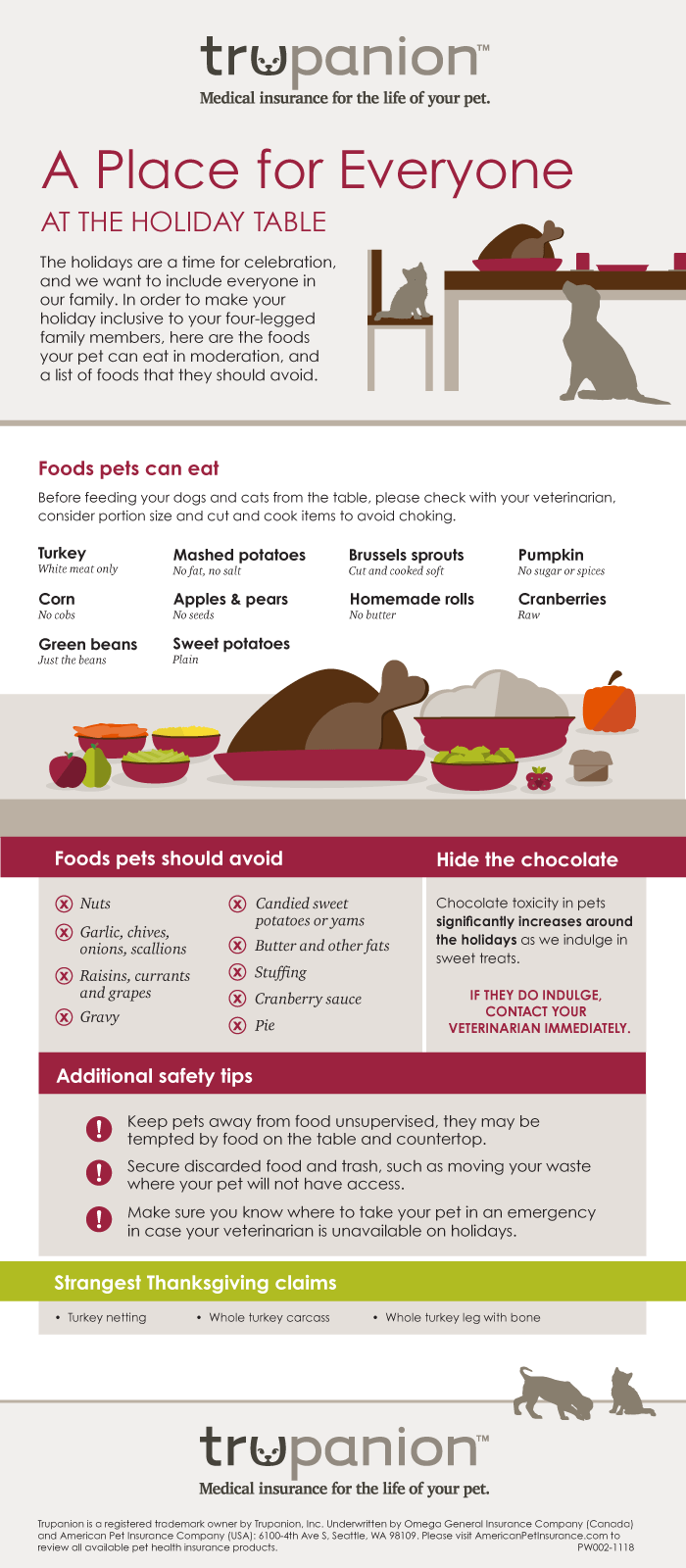 Thanksgiving For Pets