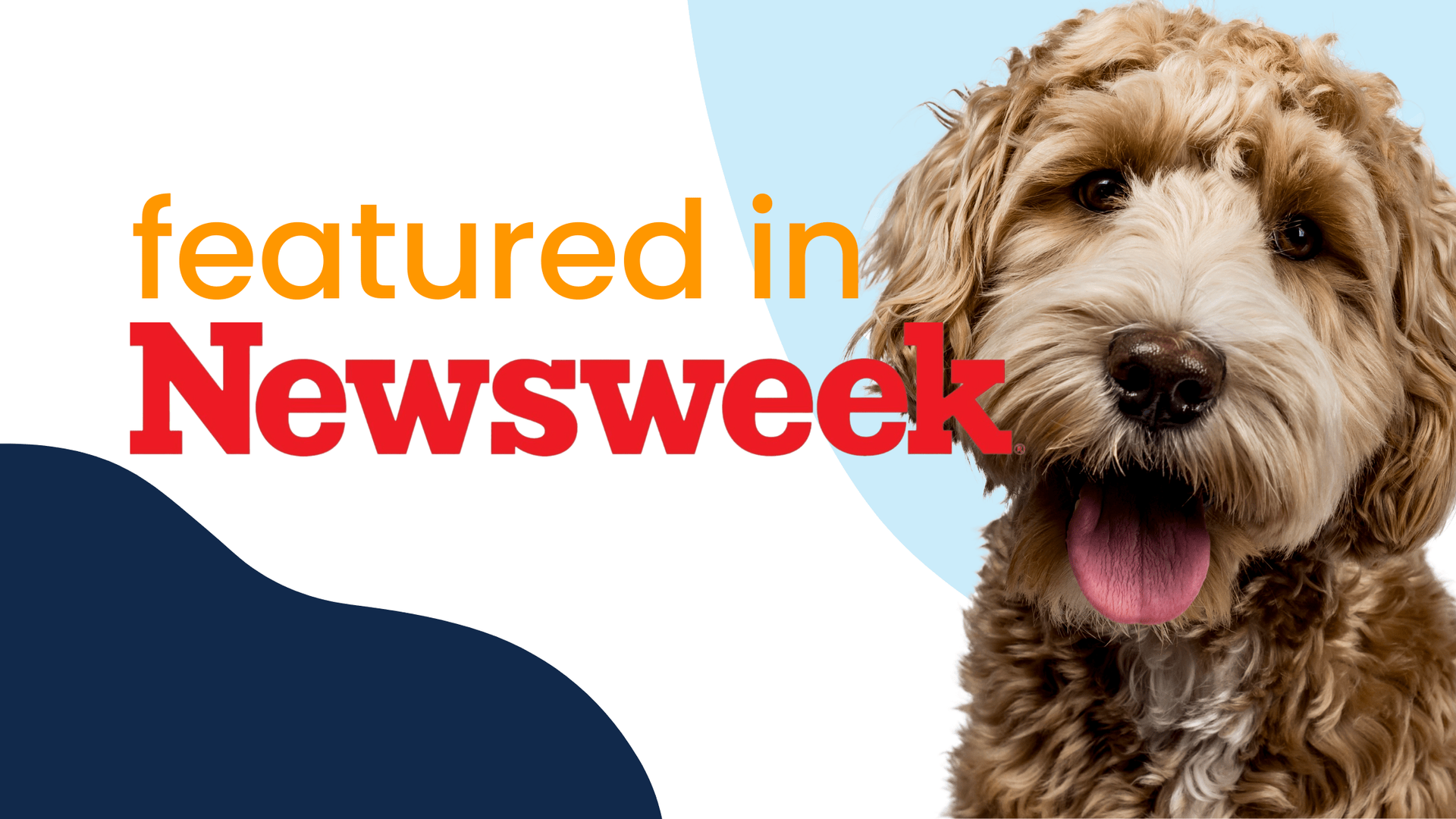 Lakeside Animal Hospital featured in Newsweek