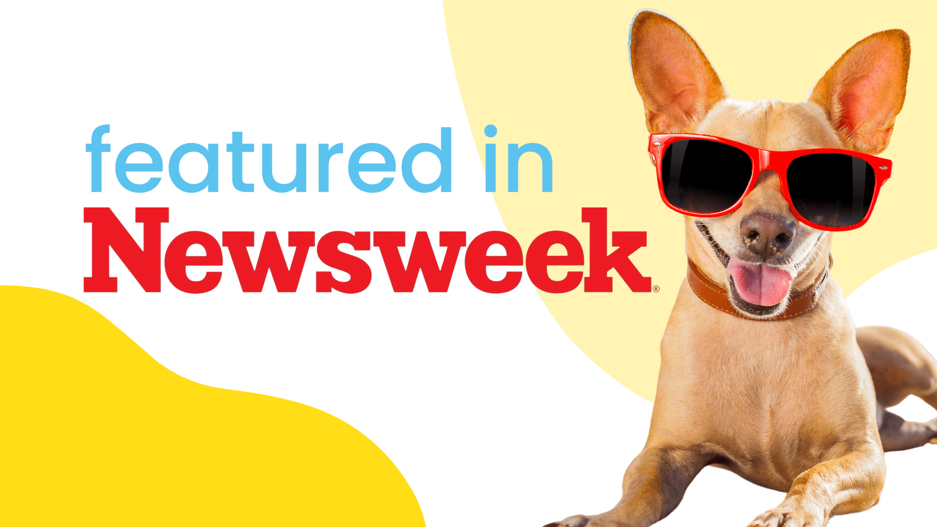 Dr. Jennifer Frione from Lakeside Animal Hospital was featured in Newsweek.