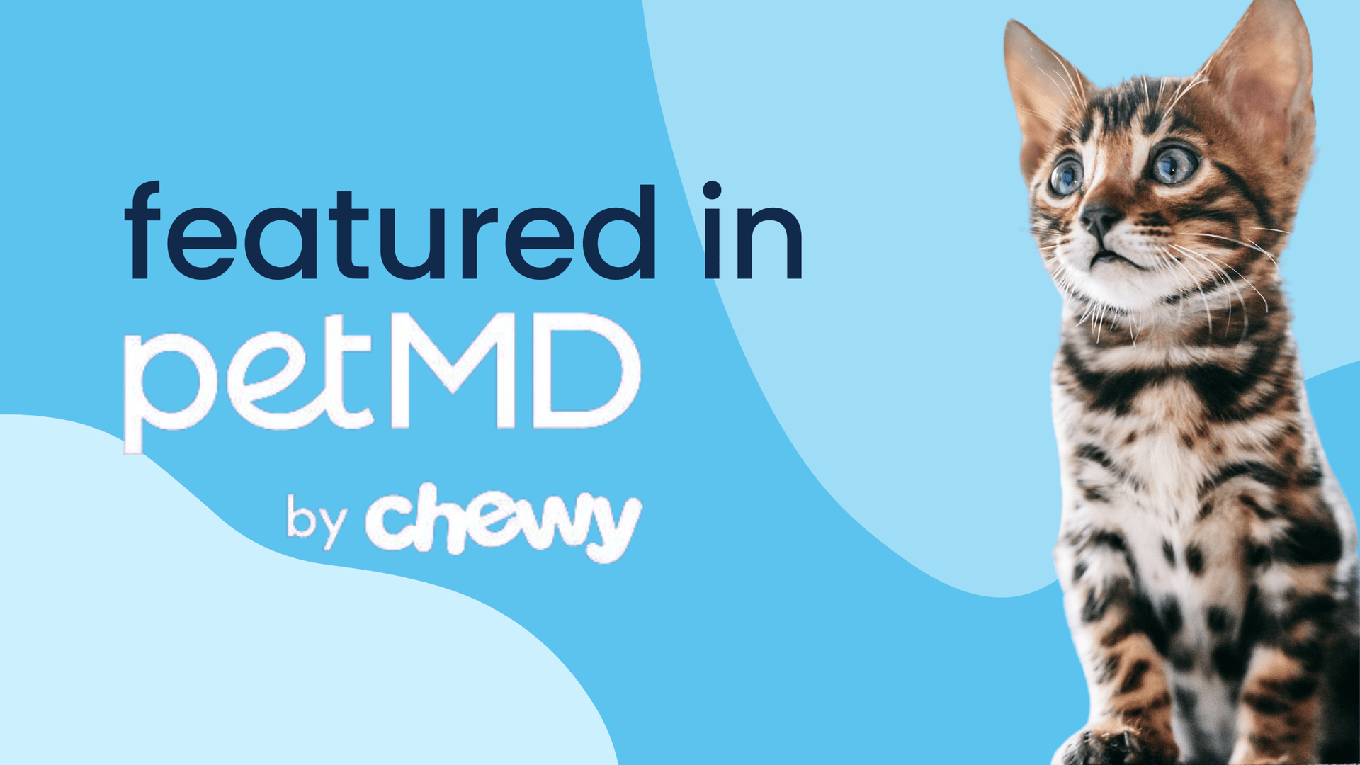 Lakeside Animal Hospital featured in petMD by Chewy