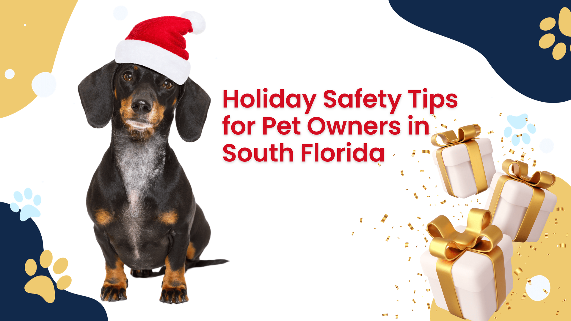 A dachshund wearing a santa hat is sitting next to gifts.