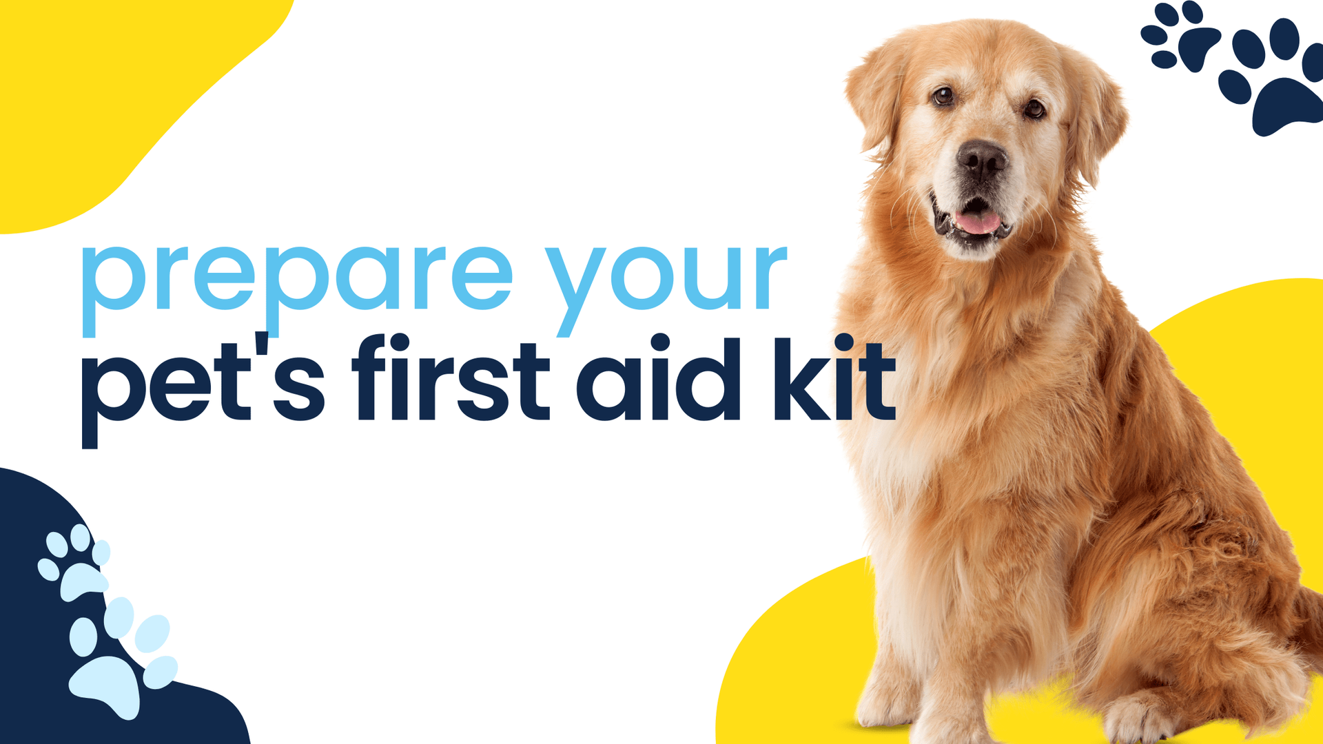 A dog is sitting next to a sign that says `` prepare your pet 's first aid kit ''.