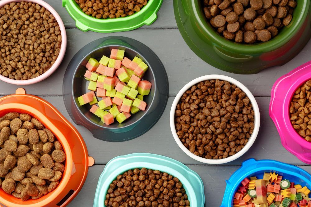 Different types of dog food in the bowls.