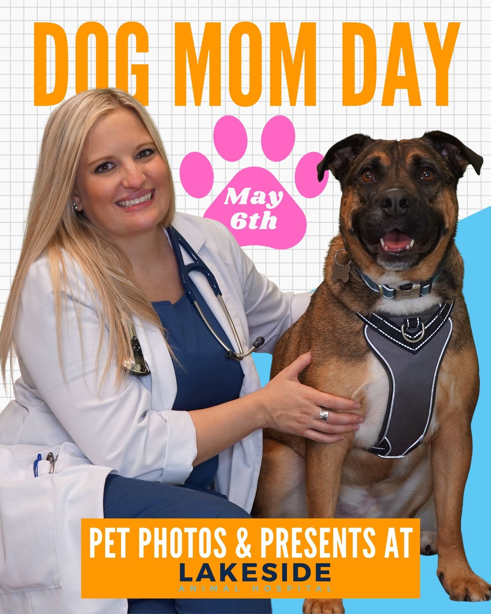 Pet Photos at Lakeside Animal Hospital