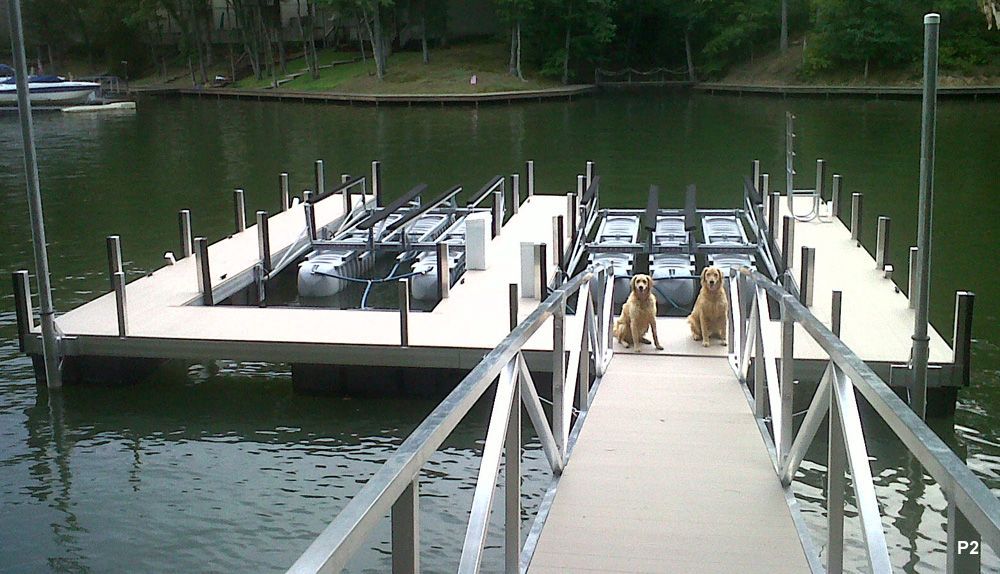 Two Dogs Are Standing on A Dock in The Water - Dock Solutions of Kentucky | Lexington, KY