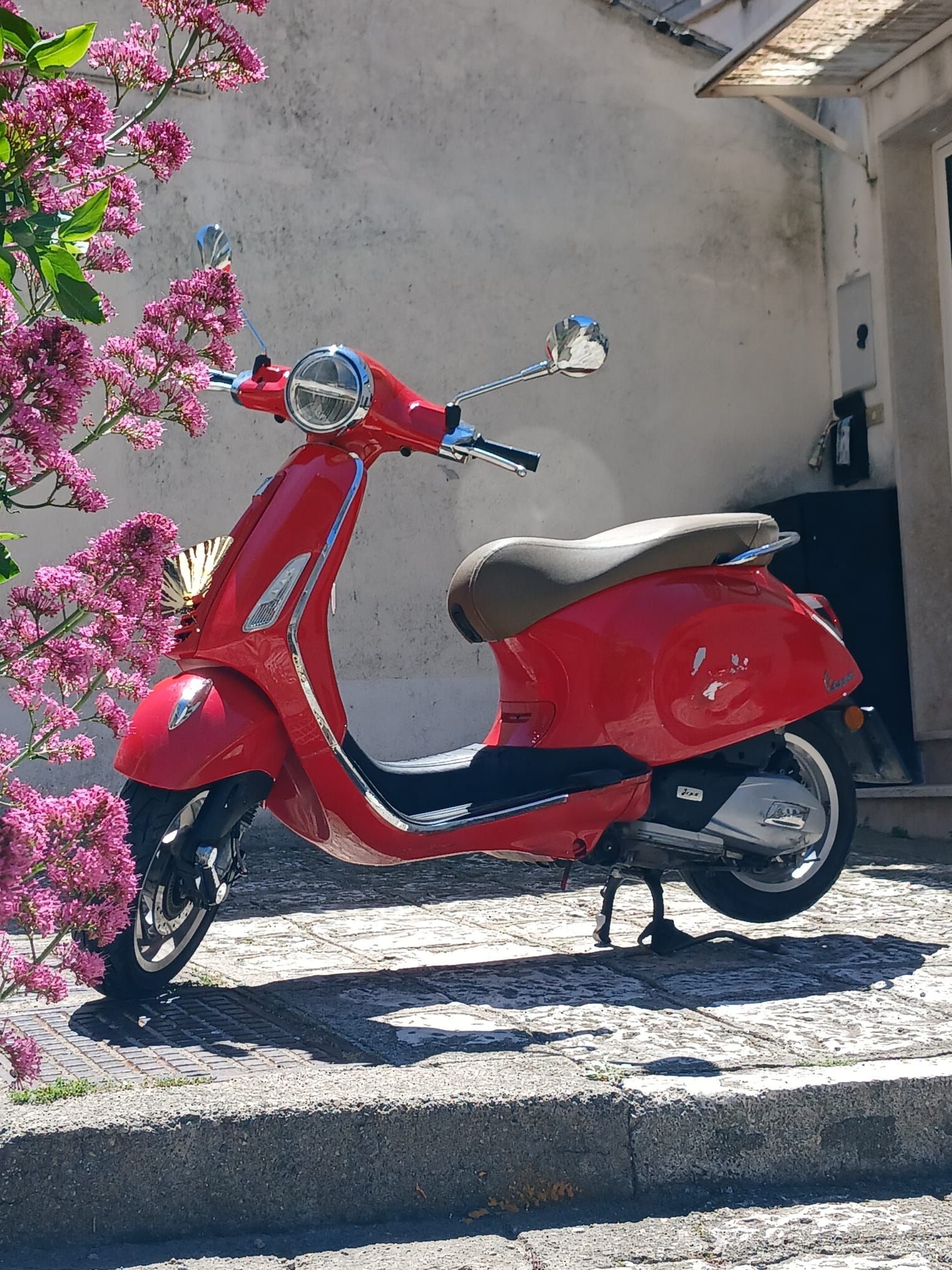 Red scooter parked on a curb beside a flowering tree and a building wall.
