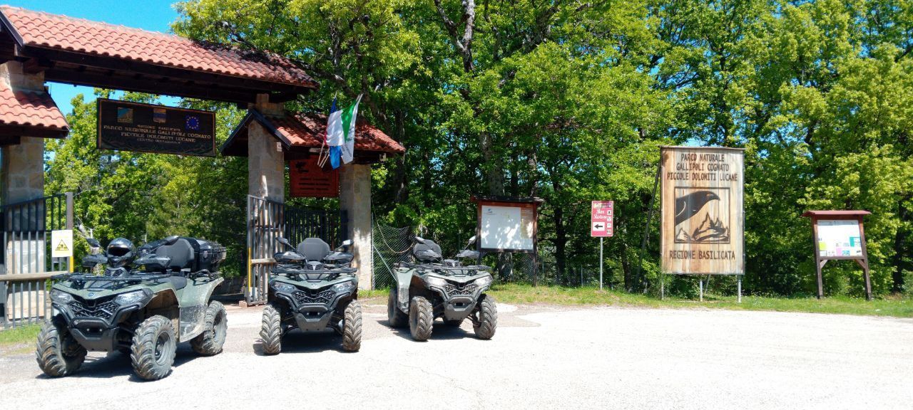Three ATVs parked by a gated entrance under trees on a sunny day