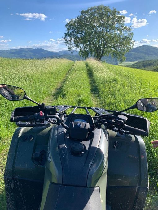 Un quad su un sentiero erboso, di fronte a un albero solitario, con montagne e cielo azzurro sullo sfondo.