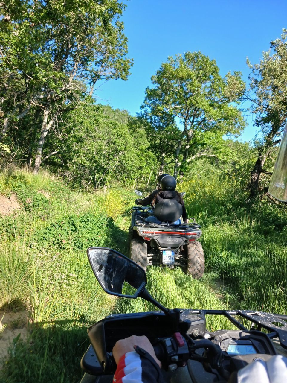 ATV riders on a grassy forest trail under a bright blue sky