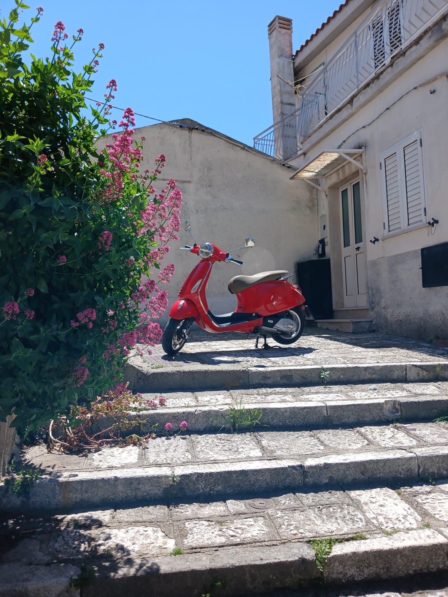 Red scooter parked on stone steps beside a white building and flowering bush.