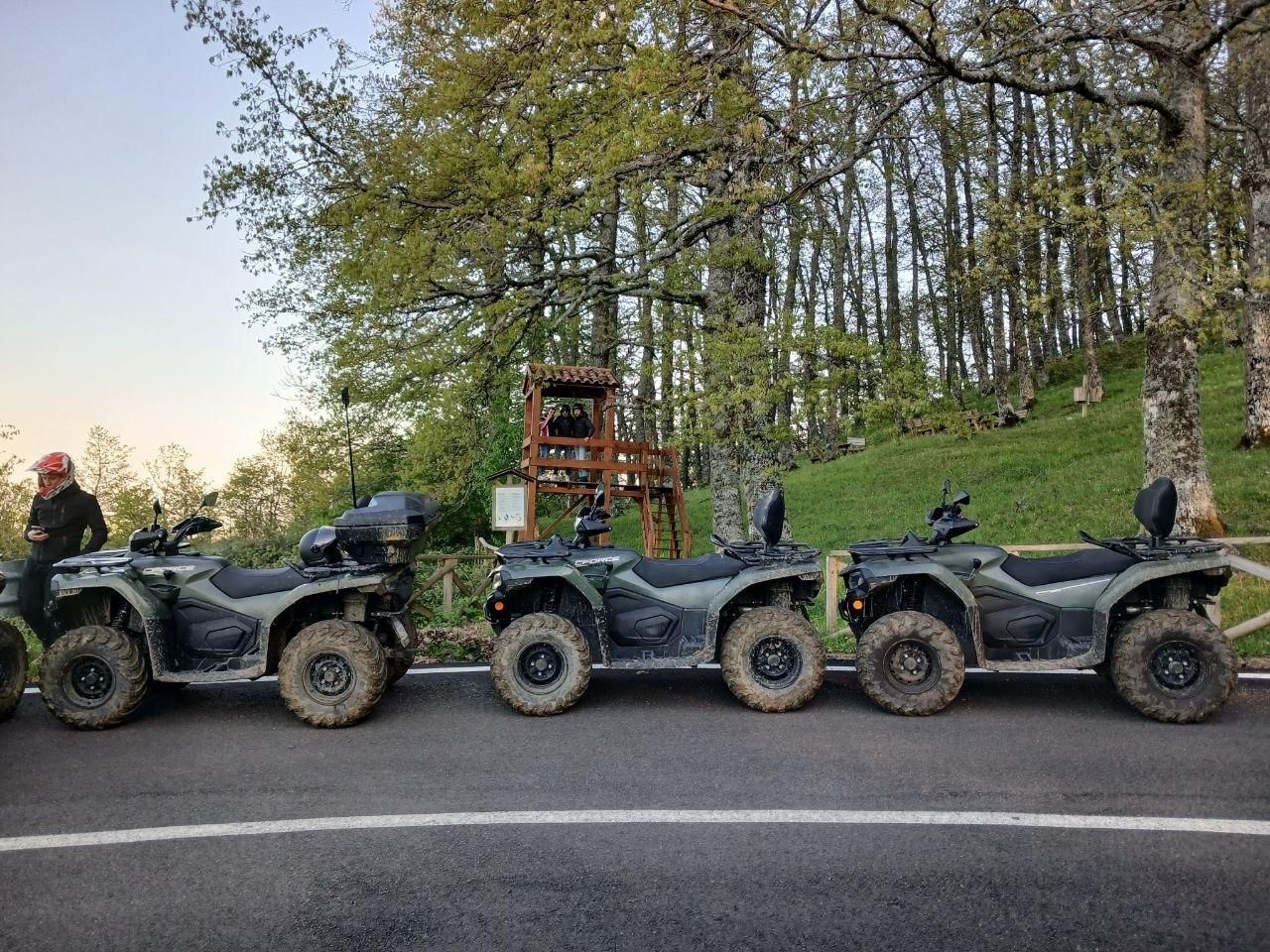 Three muddy ATVs lined up on a road beside a wooded hillside at dusk