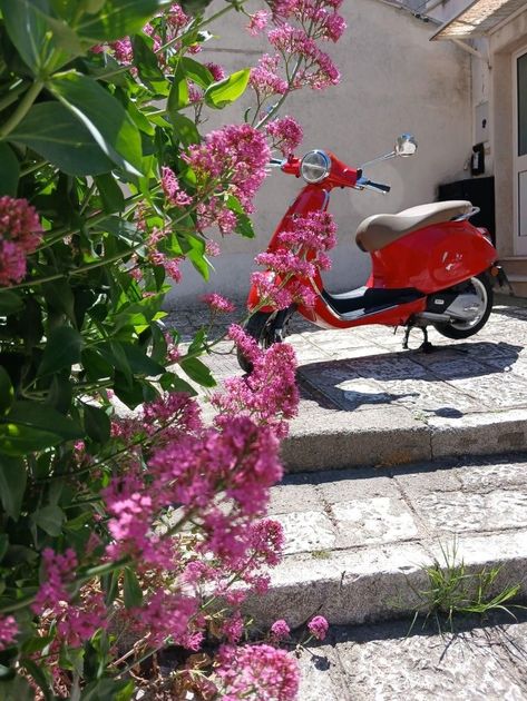 Scooter rosso parcheggiato su gradini di pietra accanto a fiori rosa e un muro beige.