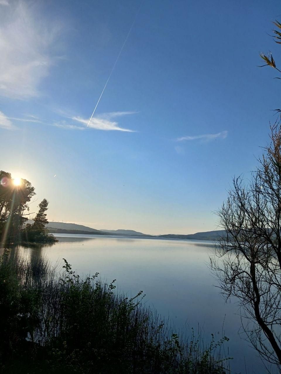 Sunrise over a calm lake with mist, silhouetted trees, and a blue sky with a faint contrail
