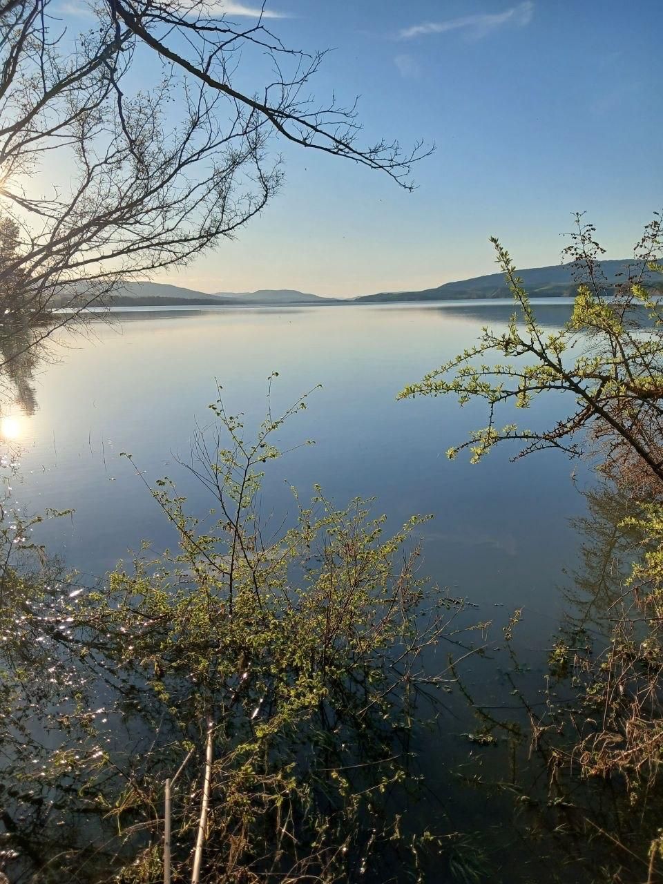 Calm lake at sunrise with bare branches and shrubs framing the shoreline